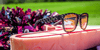 Goodr BFG Running /Golf Sunglasses – You Say Bogey, I Say Flamingo