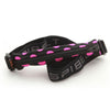 SPI Belt Original Running Belt (4 Colours)