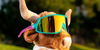 Goodr Wrap G – Save a Bull, Ride a Rodeo Clown